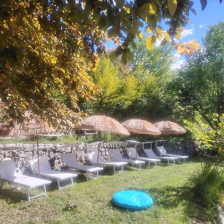 Domaine Des Petites Soeurs A 800M Du Centre Historique Avec 5200M2 De Parc Arbore فونس المظهر الخارجي الصورة
