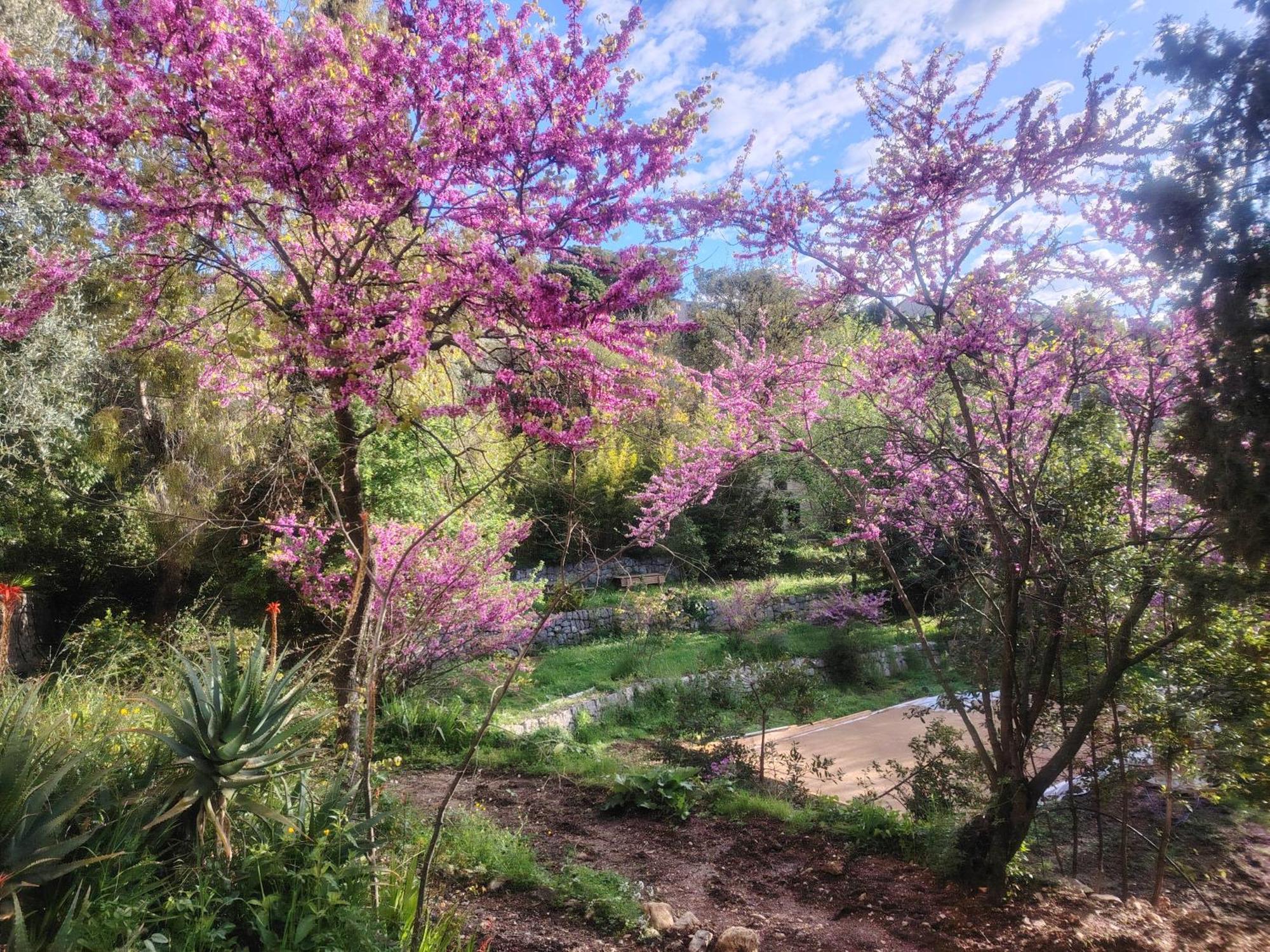 Domaine Des Petites Soeurs A 800M Du Centre Historique Avec 5200M2 De Parc Arbore فونس المظهر الخارجي الصورة